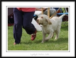 Filename=L-EcclesCake-2.jpg
Filesize=271KiB
Dimensions=1250x961
Date added=Feb 23, 2013 L-EcclesCake-2.jpg
