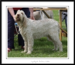 Filename=L-EcclesCake.jpg
Filesize=336KiB
Dimensions=1250x1085
Date added=Feb 23, 2013 L-EcclesCake.jpg