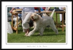 Filename=N-GotToBeThere-4.jpg
Filesize=262KiB
Dimensions=1250x873
Date added=Feb 23, 2013 N-GotToBeThere-4.jpg