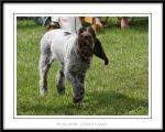 T-WickedWinnie-3.jpg