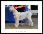 Filename=A-Amelia.jpg
Filesize=184KiB
Dimensions=1100x878
Date added=Feb 23, 2013 A-Amelia.jpg