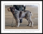 Filename=C-TedBaker.jpg
Filesize=214KiB
Dimensions=1100x870
Date added=Feb 23, 2013 C-TedBaker.jpg