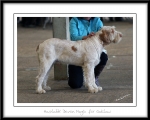 Filename=H-DevonMagic.jpg
Filesize=192KiB
Dimensions=1100x885
Date added=Feb 23, 2013 H-DevonMagic.jpg