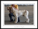 Filename=H-KirRoyale.jpg
Filesize=171KiB
Dimensions=1100x856
Date added=Feb 23, 2013 H-KirRoyale.jpg