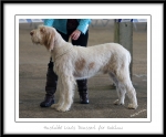 Filename=H-LouisDousset.jpg
Filesize=199KiB
Dimensions=1100x910
Date added=Feb 23, 2013 H-LouisDousset.jpg