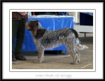 Filename=L-Niamh.jpg
Filesize=195KiB
Dimensions=1100x861
Date added=Feb 23, 2013 L-Niamh.jpg