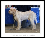 Filename=M-HesAPeach.jpg
Filesize=229KiB
Dimensions=1100x934
Date added=Feb 23, 2013 M-HesAPeach.jpg