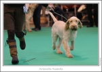 Filename=A-Aldabella-2.jpg
Filesize=178KiB
Dimensions=972x691
Date added=Feb 23, 2013 A-Aldabella-2.jpg