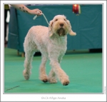 Filename=A-Amelia-2.jpg
Filesize=239KiB
Dimensions=983x942
Date added=Feb 23, 2013 A-Amelia-2.jpg