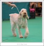 Filename=A-Amelia-3.jpg
Filesize=214KiB
Dimensions=987x1022
Date added=Feb 23, 2013 A-Amelia-3.jpg