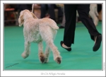 Filename=A-Amelia-4.jpg
Filesize=163KiB
Dimensions=973x713
Date added=Feb 23, 2013 A-Amelia-4.jpg