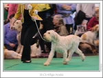Filename=A-Amelia-5.jpg
Filesize=212KiB
Dimensions=975x736
Date added=Feb 23, 2013 A-Amelia-5.jpg