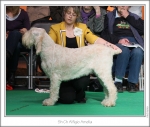 Filename=A-Amelia.jpg
Filesize=271KiB
Dimensions=979x830
Date added=Feb 23, 2013 A-Amelia.jpg