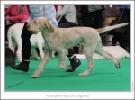 Filename=A-NiceOneSquirrel-2.jpg
Filesize=191KiB
Dimensions=973x722
Date added=Feb 23, 2013 A-NiceOneSquirrel-2.jpg