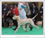 Filename=A-NiceOneSquirrel-3.jpg
Filesize=226KiB
Dimensions=979x839
Date added=Feb 23, 2013 A-NiceOneSquirrel-3.jpg