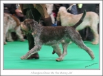 Filename=A-ShowMeTheMoney-3.jpg
Filesize=218KiB
Dimensions=973x714
Date added=Feb 23, 2013 A-ShowMeTheMoney-3.jpg