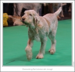 Filename=B-Bartolomeo-2.jpg
Filesize=215KiB
Dimensions=983x945
Date added=Feb 23, 2013 B-Bartolomeo-2.jpg