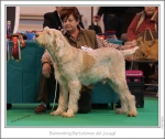 Filename=B-Bartolomeo.jpg
Filesize=257KiB
Dimensions=978x825
Date added=Feb 23, 2013 B-Bartolomeo.jpg