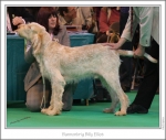 Filename=B-BillyElliot.jpg
Filesize=260KiB
Dimensions=979x833
Date added=Feb 23, 2013 B-BillyElliot.jpg