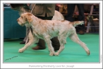 Filename=B-BrotherlyLove-3.jpg
Filesize=192KiB
Dimensions=970x647
Date added=Feb 23, 2013 B-BrotherlyLove-3.jpg