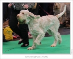 Filename=B-BruceAlmighty-3.jpg
Filesize=220KiB
Dimensions=977x806
Date added=Feb 23, 2013 B-BruceAlmighty-3.jpg