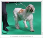 Filename=B-CuttingEdge-2.jpg
Filesize=243KiB
Dimensions=980x862
Date added=Feb 23, 2013 B-CuttingEdge-2.jpg