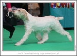 Filename=B-CuttingEdge-3.jpg
Filesize=203KiB
Dimensions=973x712
Date added=Feb 23, 2013 B-CuttingEdge-3.jpg