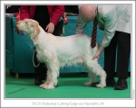 Filename=B-CuttingEdge.jpg
Filesize=254KiB
Dimensions=976x781
Date added=Feb 23, 2013 B-CuttingEdge.jpg