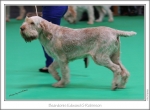 Filename=B-EdwardGRobinson-2.jpg
Filesize=187KiB
Dimensions=973x714
Date added=Feb 23, 2013 B-EdwardGRobinson-2.jpg