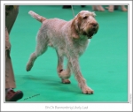 Filename=B-LikelyLad-2.jpg
Filesize=218KiB
Dimensions=979x830
Date added=Feb 23, 2013 B-LikelyLad-2.jpg
