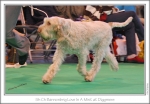 Filename=B-LoveInAMist-2.jpg
Filesize=240KiB
Dimensions=972x674
Date added=Feb 23, 2013 B-LoveInAMist-2.jpg