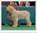 Filename=B-LoveInAMist.jpg
Filesize=292KiB
Dimensions=980x886
Date added=Feb 23, 2013 B-LoveInAMist.jpg