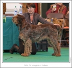 Bella-DelMongioie.jpg