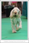 Filename=D-AmazingGrace-2.jpg
Filesize=175KiB
Dimensions=671x982
Date added=Feb 23, 2013 D-AmazingGrace-2.jpg