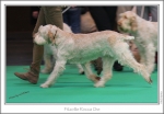 Filename=F-RoccaChe-3.jpg
Filesize=184KiB
Dimensions=972x679
Date added=Feb 23, 2013 F-RoccaChe-3.jpg