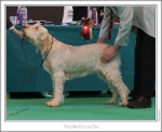 Filename=F-RoccaChe.jpg
Filesize=249KiB
Dimensions=977x799
Date added=Feb 23, 2013 F-RoccaChe.jpg