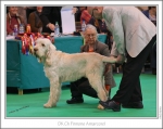 Filename=Finnone-Amarcord-2.jpg
Filesize=263KiB
Dimensions=976x776
Date added=Feb 23, 2013 Finnone-Amarcord-2.jpg