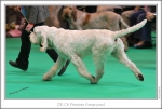 Filename=Finnone-Amarcord-3.jpg
Filesize=190KiB
Dimensions=971x660
Date added=Feb 23, 2013 Finnone-Amarcord-3.jpg