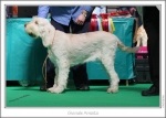 Filename=G-Amiata.jpg
Filesize=231KiB
Dimensions=972x695
Date added=Feb 23, 2013 G-Amiata.jpg