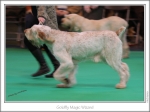 Filename=G-MagicWizard-3.jpg
Filesize=172KiB
Dimensions=975x733
Date added=Feb 23, 2013 G-MagicWizard-3.jpg