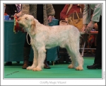 Filename=G-MagicWizard.jpg
Filesize=241KiB
Dimensions=976x791
Date added=Feb 23, 2013 G-MagicWizard.jpg