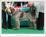 Filename=G-MagicsLittleMan.jpg
Filesize=314KiB
Dimensions=977x795
Date added=Feb 23, 2013 G-MagicsLittleMan.jpg