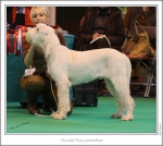 Filename=G-Roccamonfina.jpg
Filesize=275KiB
Dimensions=980x878
Date added=Feb 23, 2013 G-Roccamonfina.jpg