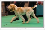 Filename=H-StanTheMan-2.jpg
Filesize=173KiB
Dimensions=971x656
Date added=Feb 23, 2013 H-StanTheMan-2.jpg