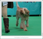 Filename=H-TheBugExplorer-2.jpg
Filesize=223KiB
Dimensions=980x888
Date added=Feb 23, 2013 H-TheBugExplorer-2.jpg