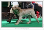 Filename=H-TheBugExplorer-4.jpg
Filesize=215KiB
Dimensions=972x667
Date added=Feb 23, 2013 H-TheBugExplorer-4.jpg