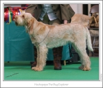 Filename=H-TheBugExplorer.jpg
Filesize=283KiB
Dimensions=979x842
Date added=Feb 23, 2013 H-TheBugExplorer.jpg
