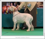 Filename=H-YorkshireWarrior.jpg
Filesize=251KiB
Dimensions=979x853
Date added=Feb 23, 2013 H-YorkshireWarrior.jpg