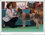 Filename=I-Meda.jpg
Filesize=242KiB
Dimensions=976x762
Date added=Feb 23, 2013 I-Meda.jpg