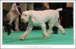 Filename=K-Caswyn3.jpg
Filesize=246KiB
Dimensions=970x640
Date added=Feb 23, 2013 K-Caswyn3.jpg